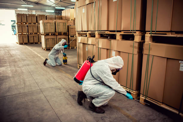 Best Pest Prevention Services  in Rlsbad, CA