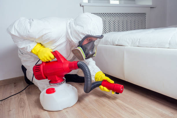 Professional Pest Control in Carlsbad, CA