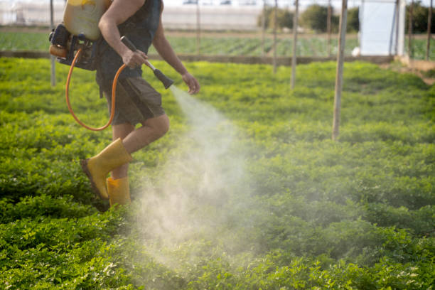 Best Pest Removal Services  in Rlsbad, CA
