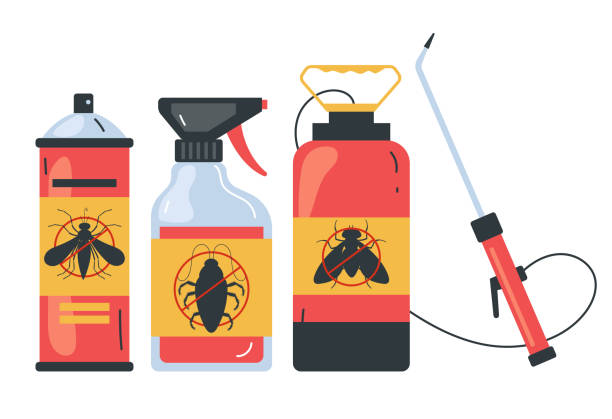 Best Wasp Removal Services  in Rlsbad, CA